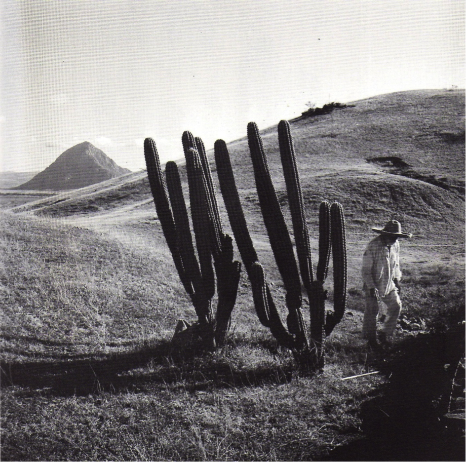 2 by Juan Rulfo